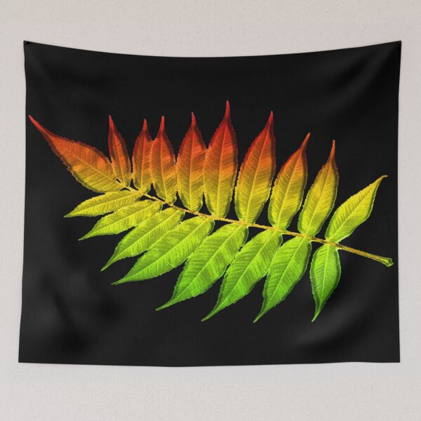 Item preview, BIRDSBERGER REGGAE designed and sold by SedisArt.