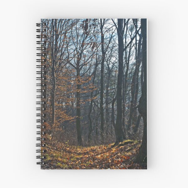 Item preview, Colours of the Fall designed and sold by Oleksii Rybakov.