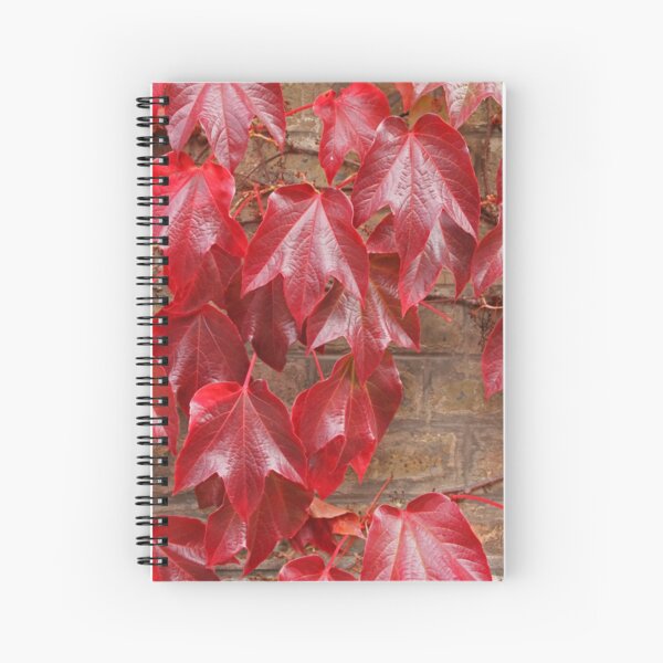 Seeing red Spiral Notebook