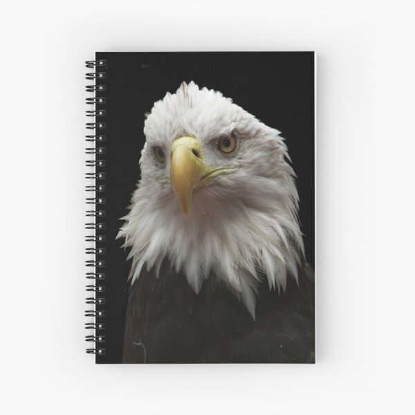 Item preview, American Pride designed and sold by starbucksgirl26.