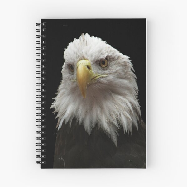 Item preview, American Pride designed and sold by starbucksgirl26.