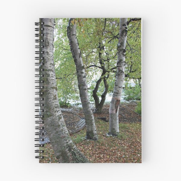Item preview, White Bark designed and sold by Photography by Jerry Deutsch.