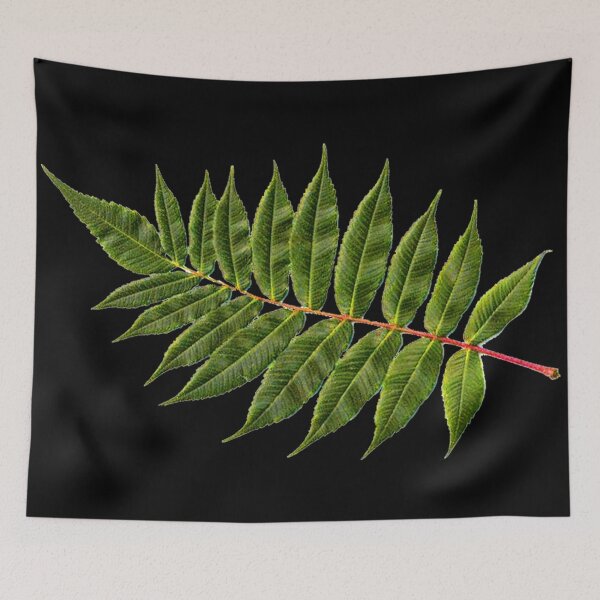 Item preview, rowan designed and sold by SedisArt.