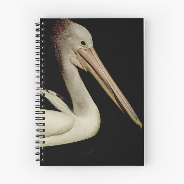 Aperçu de l'œuvre Australian Pelican créée et vendue par Tamara  Kenneally.