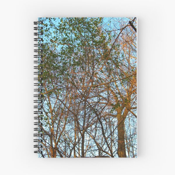Item preview, Dotting the Sky designed and sold by MarianBendeth.