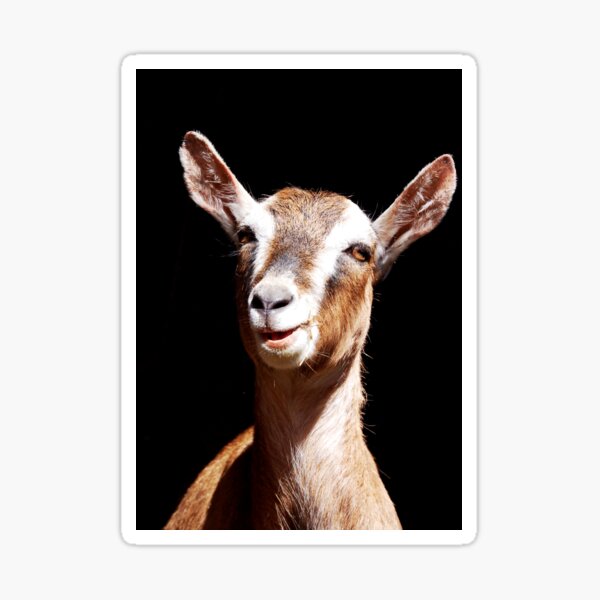 Item preview, Goat designed and sold by pearlred.