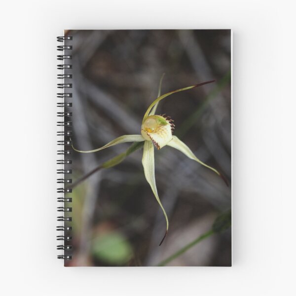 Item preview, Yellow lipped spider orchid. designed and sold by Cindy McDonald.