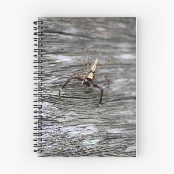 Item preview, Huntsman designed and sold by Jodie Cooper.