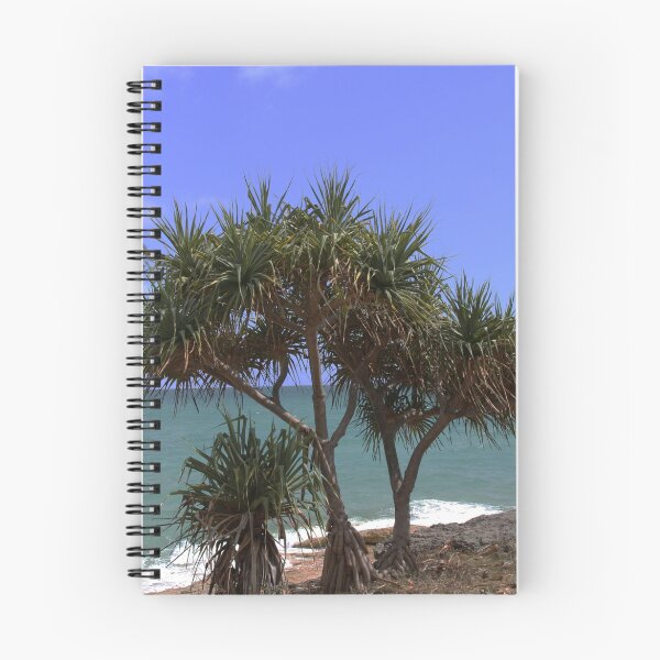 Item preview, Cylinder Beach - North Stradbroke Island designed and sold by kymc.