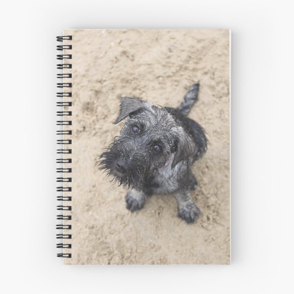 Item preview, Sandy & Saturated designed and sold by mgeritz.