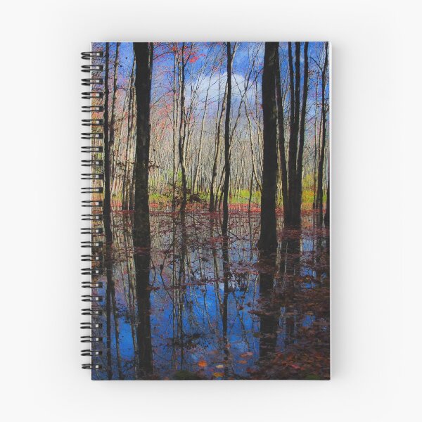 Item preview, Reflections in the Forest designed and sold by RonSparks.