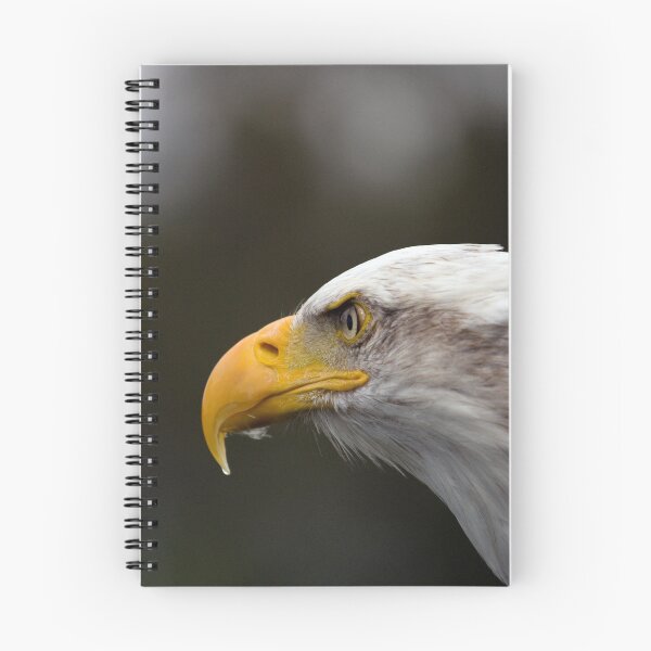 Item preview, Bald Eagle designed and sold by mrshutterbug.