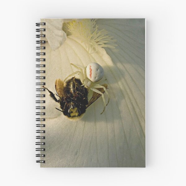 Item preview, Death At Dusk ...... Or..... Arachnid Attack designed and sold by TeresaB.