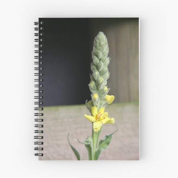 Item preview, Wildflower designed and sold by coffeebean.