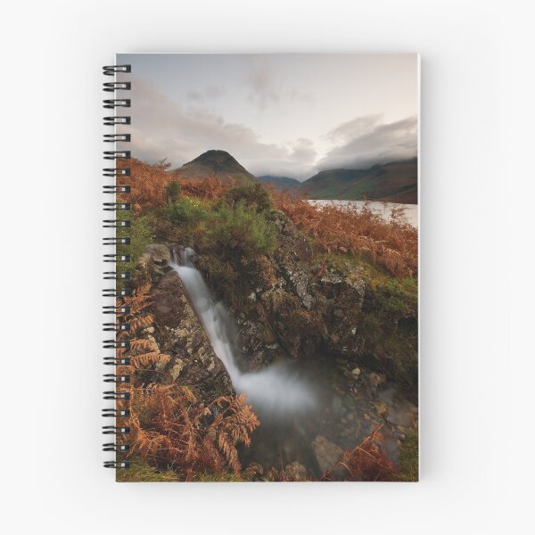 Item preview, ALTERNATIVE VIEW designed and sold by STEVE  BOOTE.