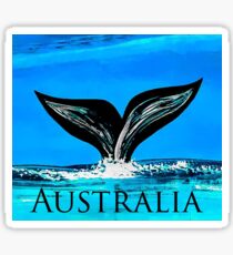 Australia whale Sticker