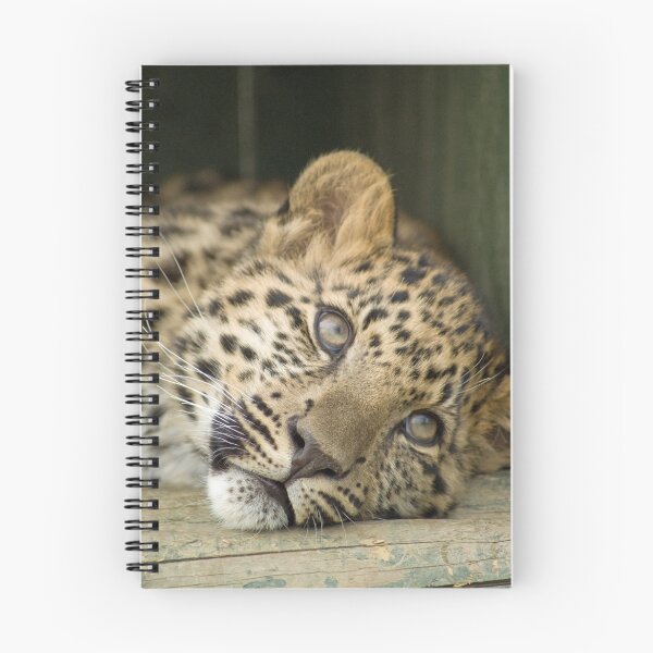 Item preview, Amur Leopard Cub designed and sold by mrshutterbug.