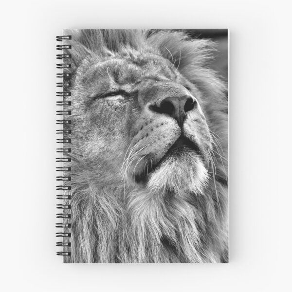 Item preview, Lion King designed and sold by mrshutterbug.