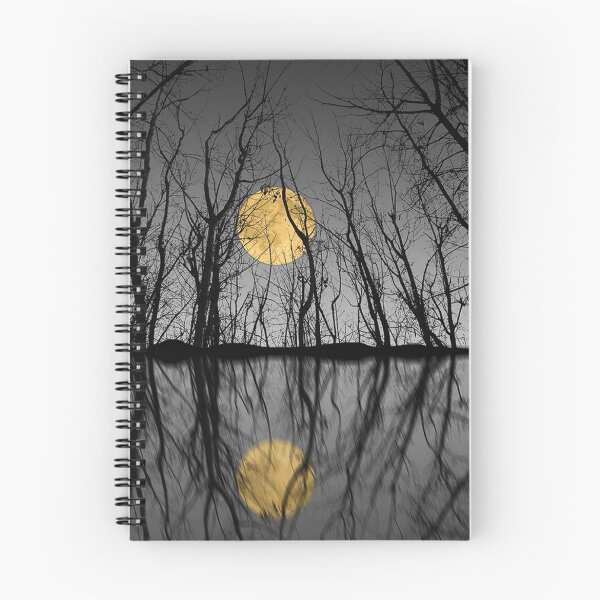 Item preview, 289 designed and sold by peter holme III.