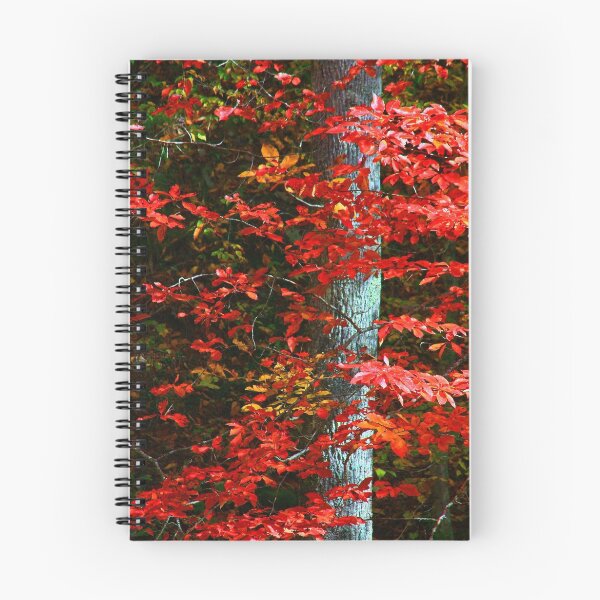 Item preview, RED TREE designed and sold by Chuck Wickham.