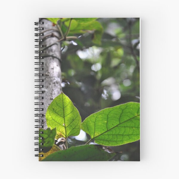 Item preview, Leaf display designed and sold by BethanyS.