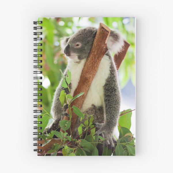 Item preview, Koala designed and sold by Jason Asher.