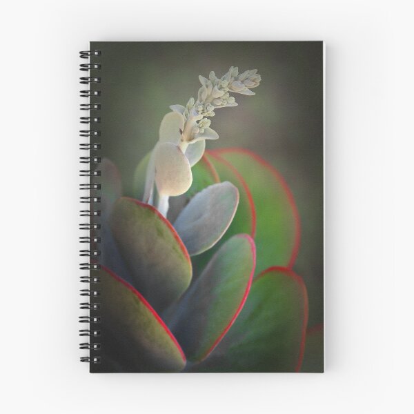Item preview, Getting Ready to Bloom designed and sold by CarolM.