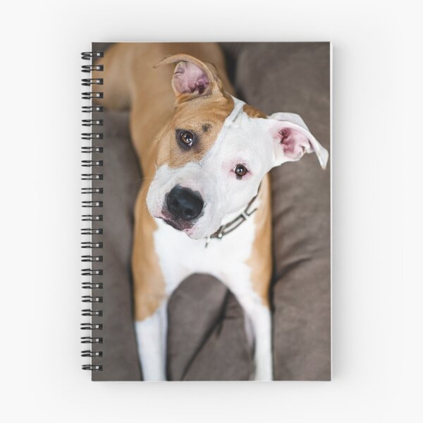 Item preview, Asha the American Staffordshire Terrier designed and sold by Charlotte Reeves.