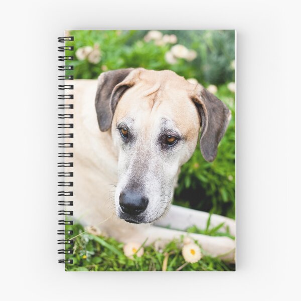 Item preview, Chopper the Great Dane X designed and sold by Charlotte Reeves.