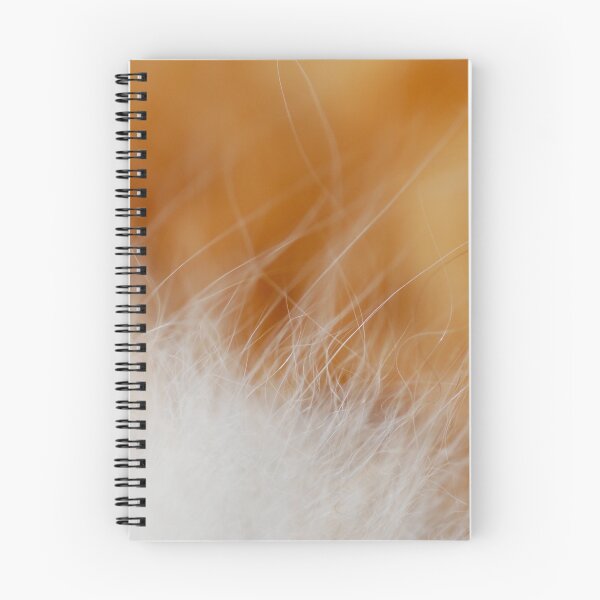Item preview, a bit of fluff designed and sold by Naia.