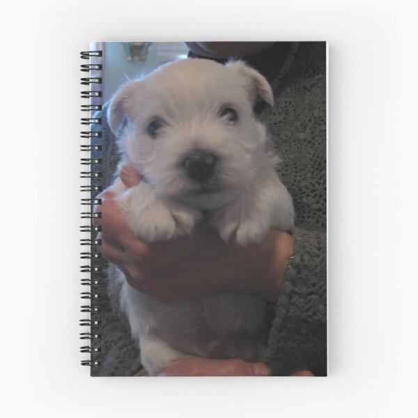 Item preview, Ma New Boy Brody designed and sold by MarianBendeth.