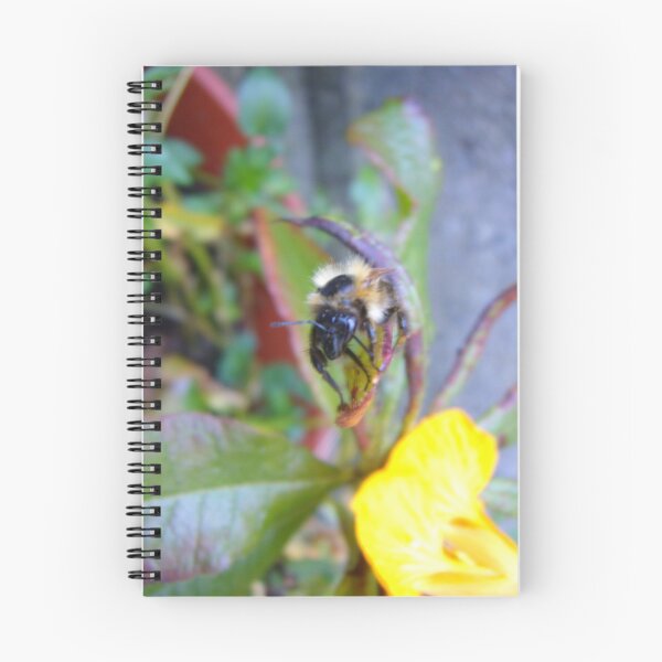 Item preview, Bee antenna designed and sold by wendy1968.