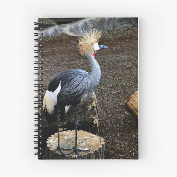 Item preview, Crowned Crane designed and sold by ABPhotoArt.