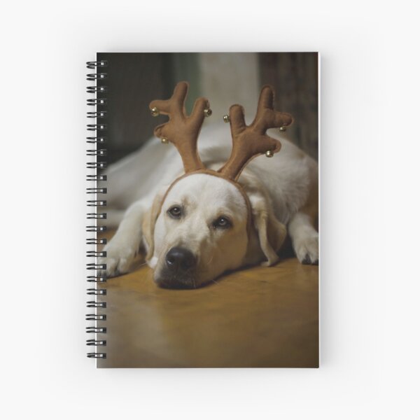Getting Into The Spirit... Spiral Notebook
