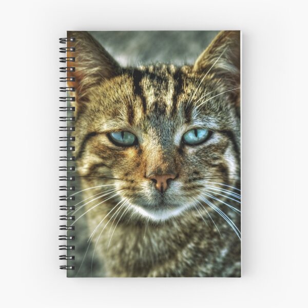 Item preview, Cat designed and sold by Kadir Murat Tosun.