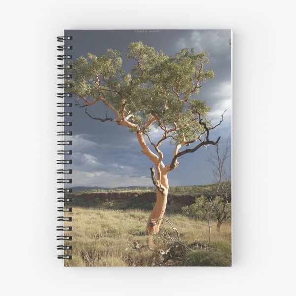 Item preview, lone tree karajini national park designed and sold by dmaxwell.