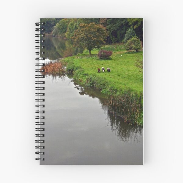 Item preview, Boyne riverside  designed and sold by Martina Fagan.
