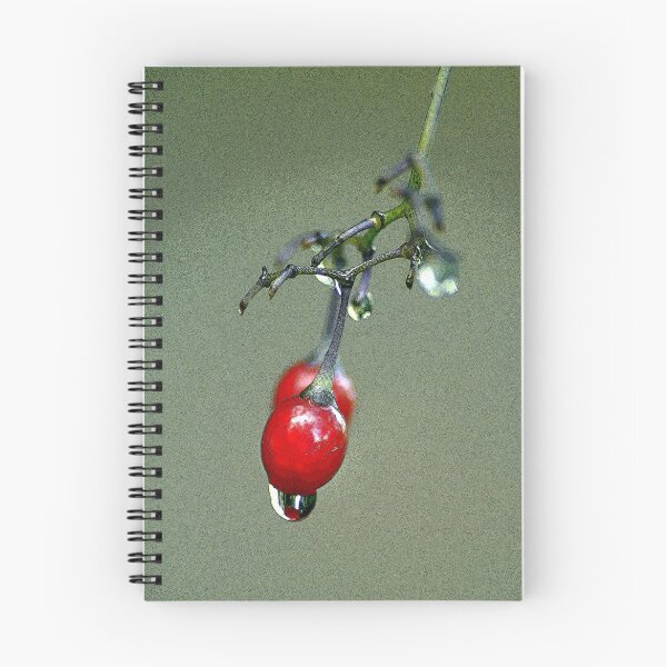 Item preview, Berry Drop designed and sold by Robin Nellist.
