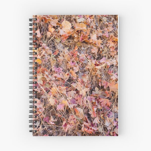 Item preview, Fallen Pink and Gold, Zion National Park, Utah designed and sold by Alan C Williams.