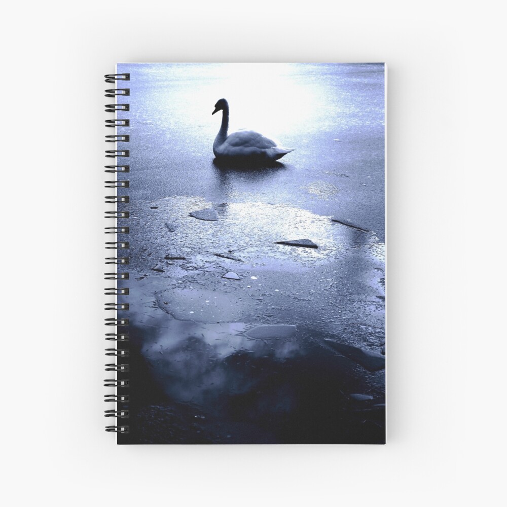 Item preview, Spiral Notebook designed and sold by Coigach.