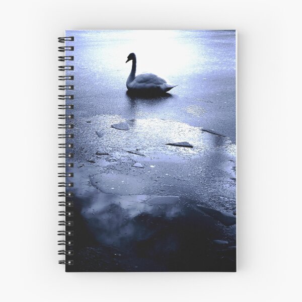 Aperçu de l'œuvre Swan on Ice créée et vendue par Coigach.
