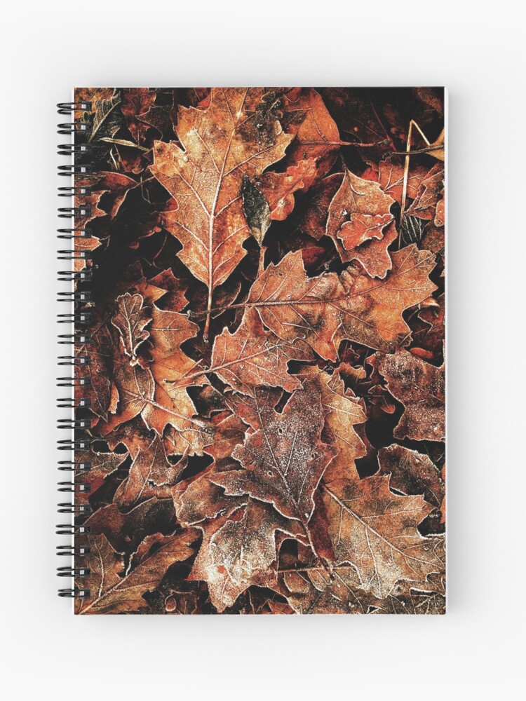Thumbnail 1 of 3, Journal, Touch of Frost 8 designed and sold by Coigach.