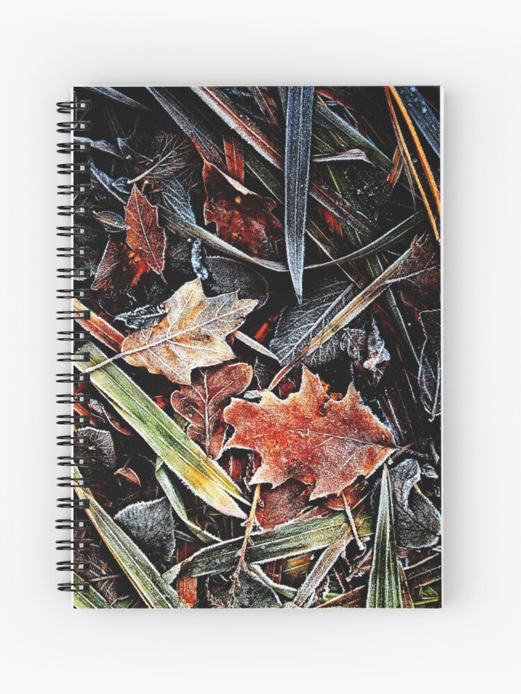 Thumbnail 1 of 3, Journal, Touch of frost Frost 6 designed and sold by Coigach.