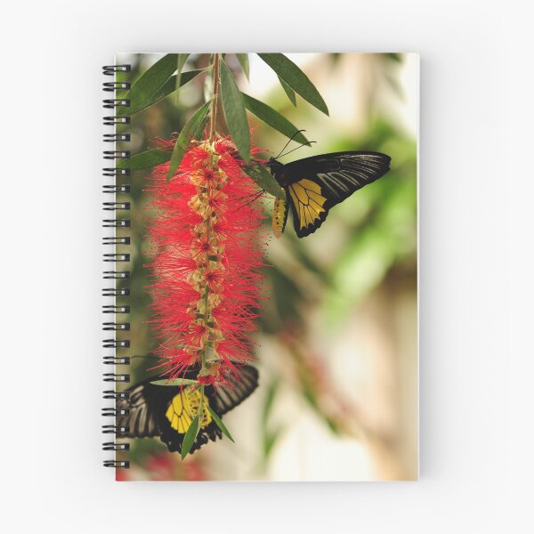 Item preview, Can we share? designed and sold by Jacinthe Brault.