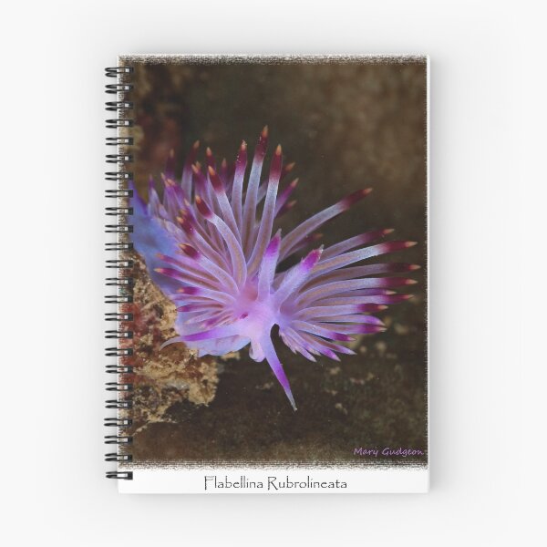 Artikelvorschau, Flabellina Rubrolineata entworfen und verkauft von Ross Gudgeon.