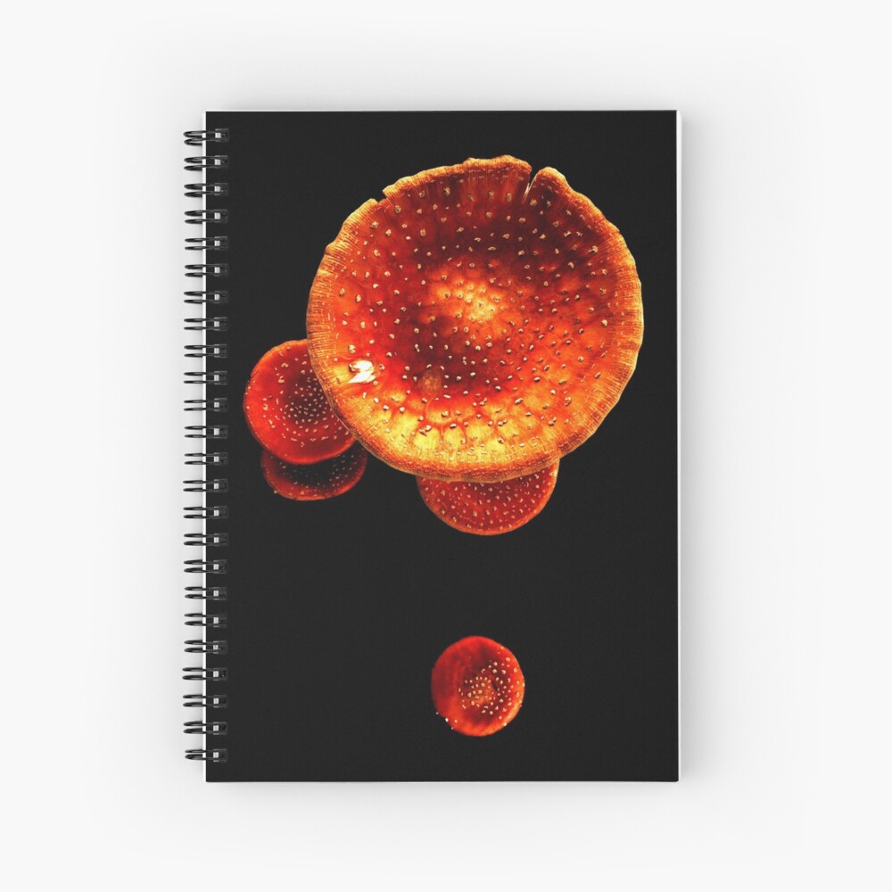 Item preview, Spiral Notebook designed and sold by Coigach.