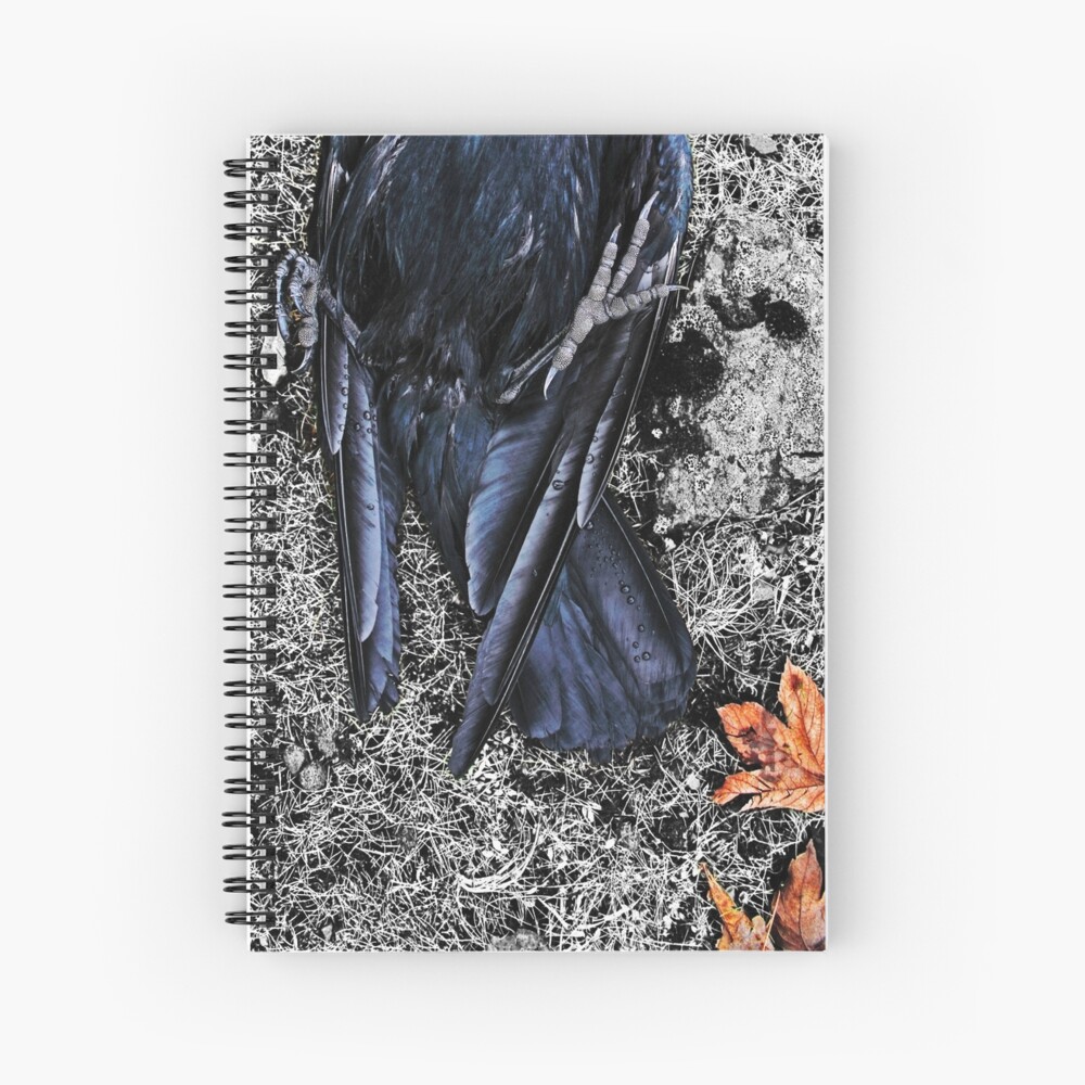 Item preview, Spiral Notebook designed and sold by Coigach.