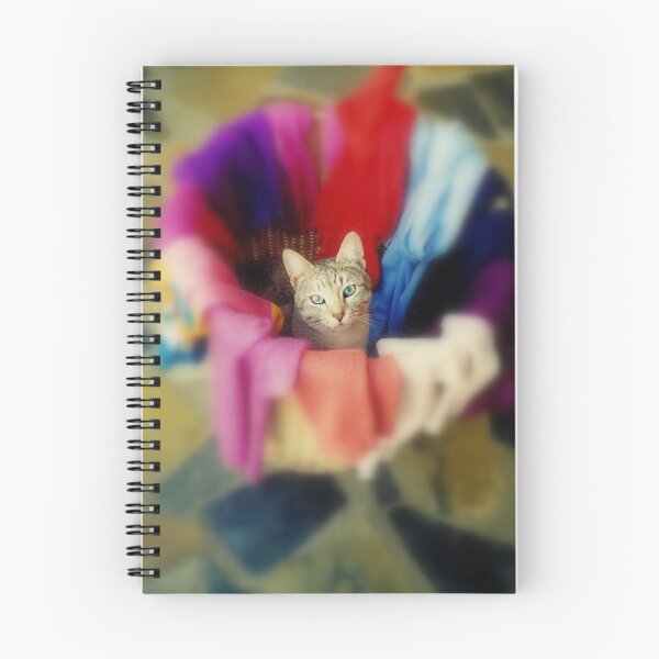 Item preview, Jeffrey the washing cat designed and sold by Denzil.