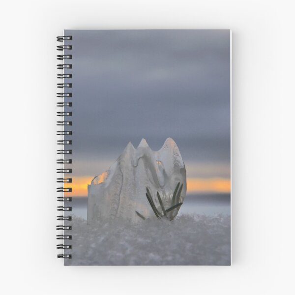 Item preview, Winters Iced designed and sold by Heather  Waller-Rivet  IPA.