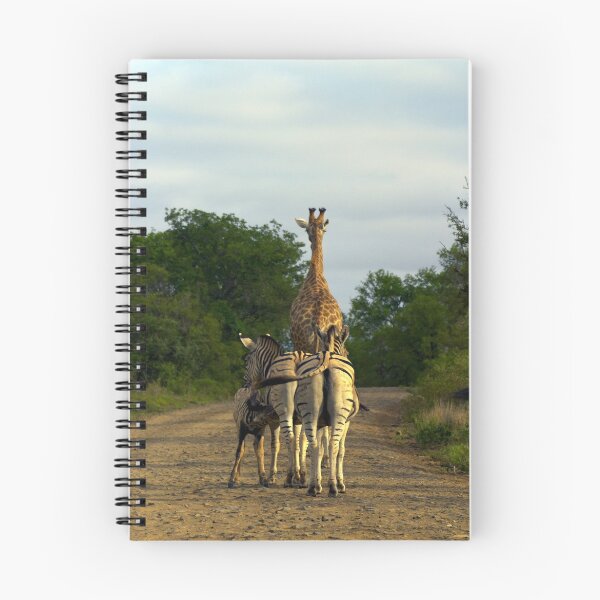 Item preview, Lunch break - Umfolozi Game Reserve, South Africa designed and sold by citrineblue.